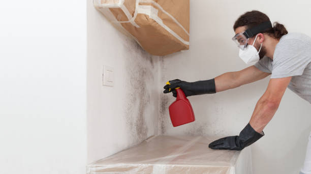 Professional Attic Mold Remediation technician working in Cranbury, NJ