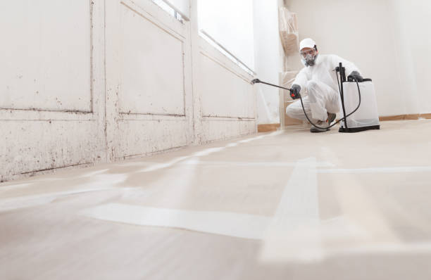 24/7 Emergency Attic Mold Remediation experts in Cranbury, NJ
