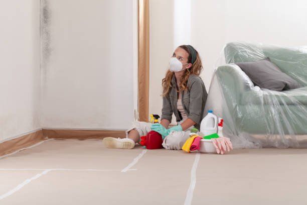 Reliable Attic Mold Remediation contractor in Cranbury, NJ by Mold Remediation HQ