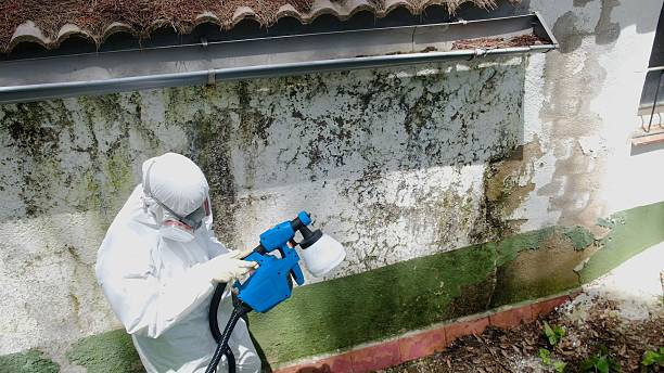 Top rated local Attic Mold Remediation specialists in Cranbury, NJ